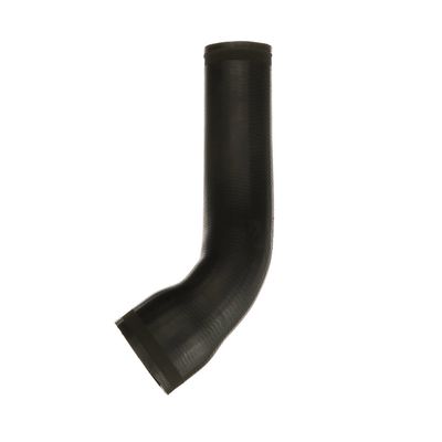 FURTUN EAR SUPRAALIMENTARE GATES 090823 56