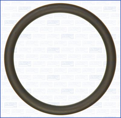 Bague d'étanchéité OE