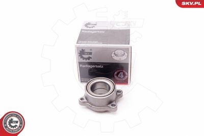 Wheel Bearing Kit 29SKV156