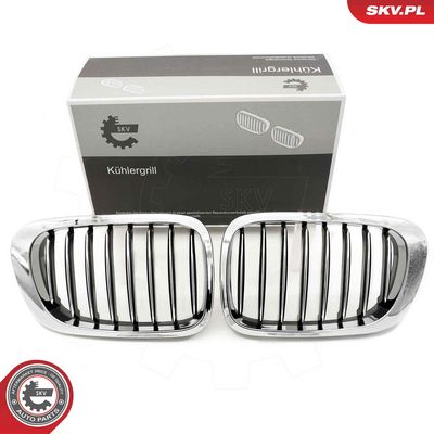 GRILA RADIATOR ESEN SKV 66SKV057 9