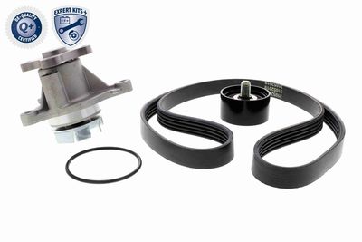 SET CUREA TRANSMISIE CU CANELURI