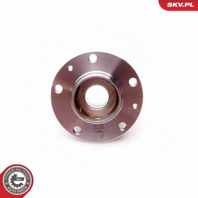 SET RULMENT ROATA ESEN SKV 29SKV070 2