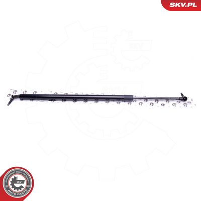 Dujinė spyruoklė, bagažinė