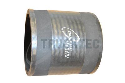 FURTUN EAR SUPRAALIMENTARE