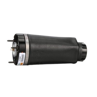 LUFTFEDER FAHRWERK Arnott A2587 15