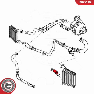 FURTUN EAR SUPRAALIMENTARE ESEN SKV 24SKV197 3