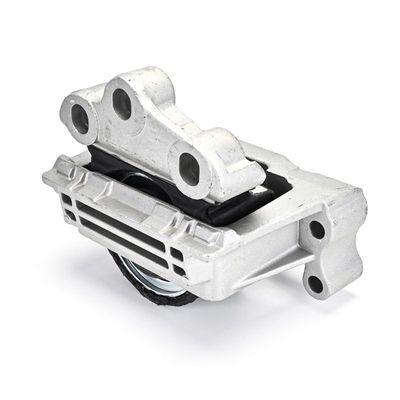 LAGERUNG MOTOR DELPHI TEM133 5