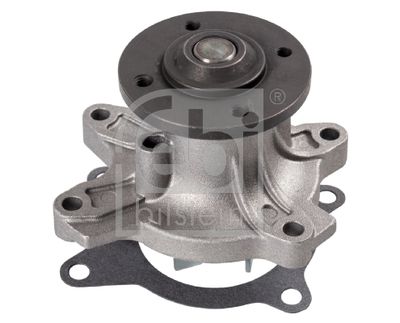 Water Pump, engine cooling 24330