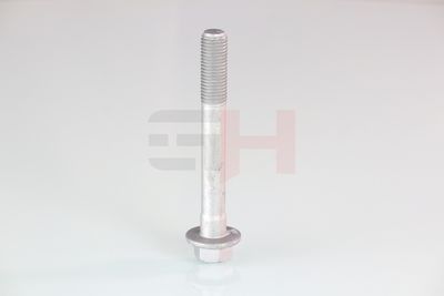 SURUB CAPAT DE AX GH GH391580 55