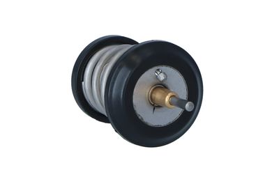 TERMOSTAT LICHID RACIRE NRF 725250 41