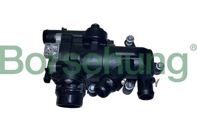 Termostat, środek chłodzący BORSEHUNG B10555