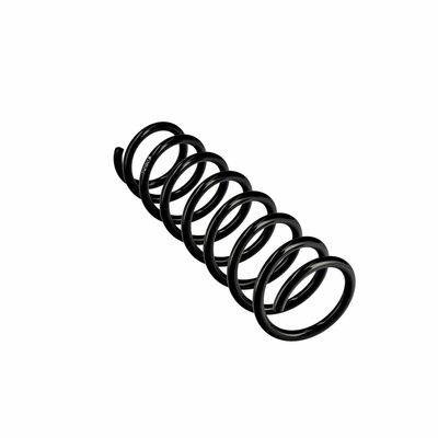 ARC SPIRAL EIBACH R10378 11