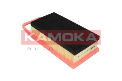 Air Filter F223801