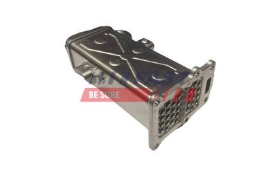 RADIATOR RECIRCULARE GAZE DE ESAPAMENT FAST FT10066 1