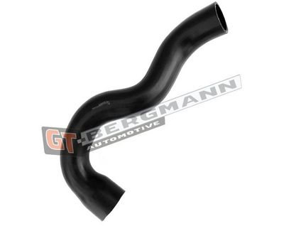 GT-BERGMANN Automotive Kompresoriaus padavimo žarna