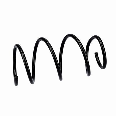 ARC SPIRAL EIBACH R10839 18