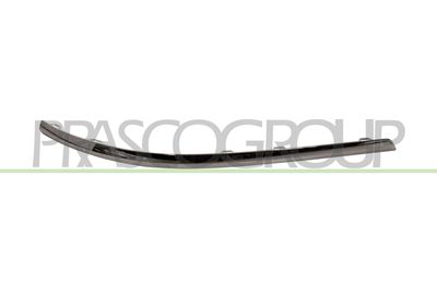 ZIER-/SCHUTZLEISTE STOßFäNGER