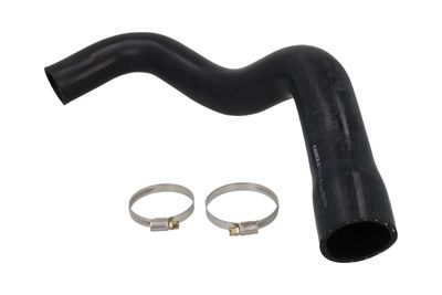 FURTUN EAR SUPRAALIMENTARE