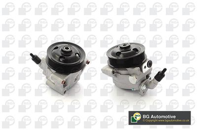 BGA Hydraulic Pump, steering PSP3303
