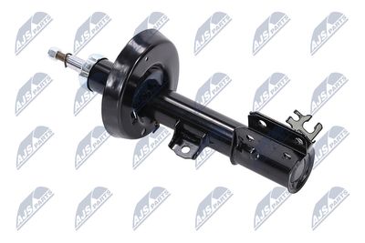 AMORTIZOR NTY APL060 11