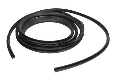 Afdichting voorruit Voor past: CHRYSLER VOYAGER III, VOYAGER IV 01.95-12.08