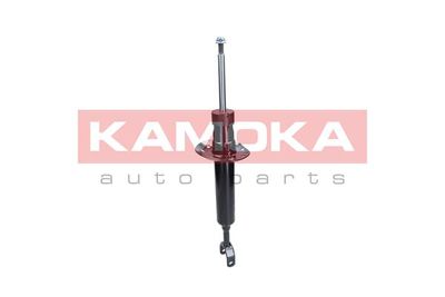 Shock Absorber 2000713