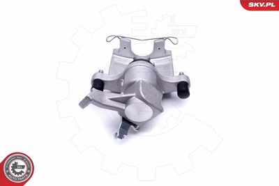 Brake Caliper 46SKV813