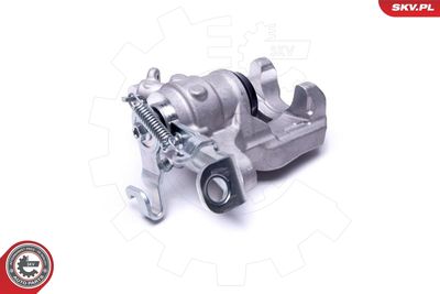 Brake Caliper 55SKV844