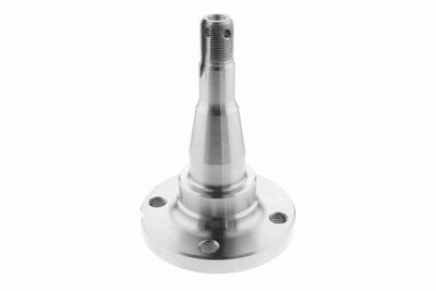 BUTUC ROATA CORP AXA VAICO V400793 3