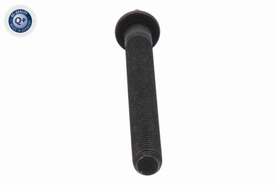 SET SURUB CHIULASA VAICO V204266 5