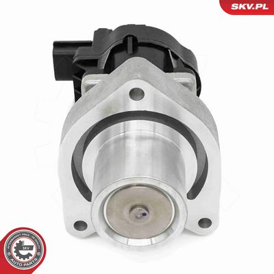 SUPAPA EGR ESEN SKV 14SKV254 4