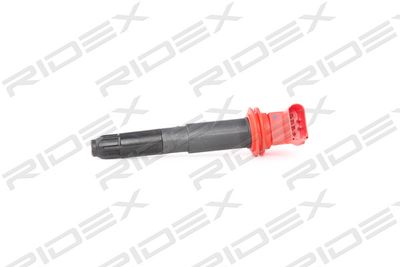 Катушка зажигания RIDEX 689C0276 для PORSCHE CAYENNE