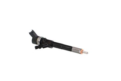 INJECTOR REMANTE 002003001665R 44