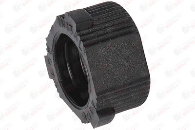 BUCSA ARBORE DE DIRECTIE BIRTH 4468 9