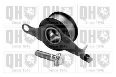Натяжной ролик, ремень ГРМ QUINTON HAZELL QTT154 для FORD P100