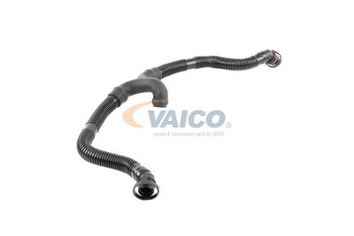 FURTUN AERISIRE CHIULASA VAICO V103696 52