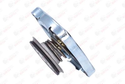 BUSON RADIATOR BIRTH 8087 8