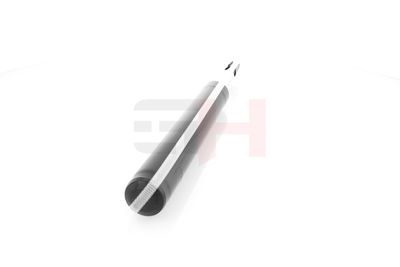 AMORTIZOR GH GH344794 43