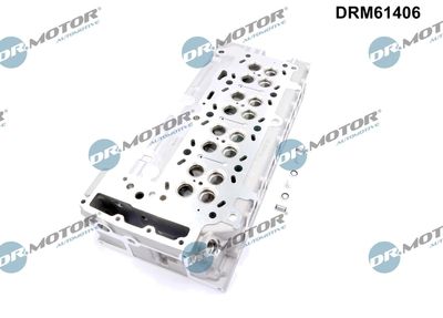 CHIULASA Dr.Motor Automotive DRM61406 2