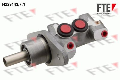 FTE H229143.7.1 Ремкомплект главного тормозного цилиндра  для ROVER (Ровер)