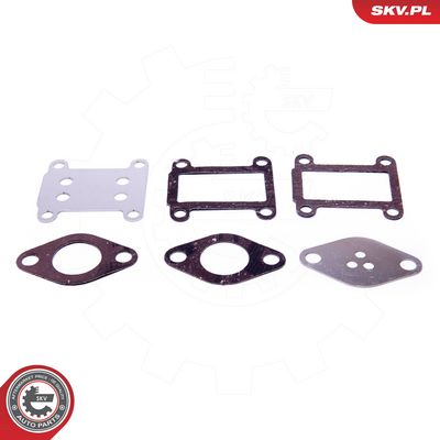 Remonto komplektas, AGR vožtuvas