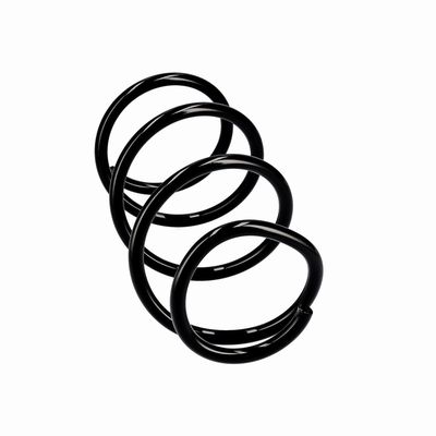 ARC SPIRAL EIBACH R10355 24