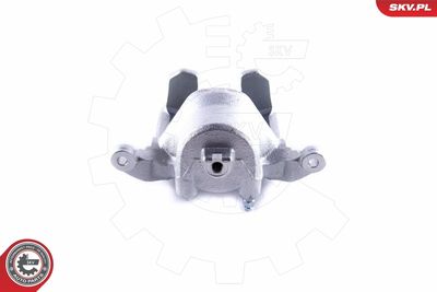 Brake Caliper 55SKV061