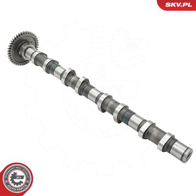 Vačkový hřídel ESEN SKV 80SKV013