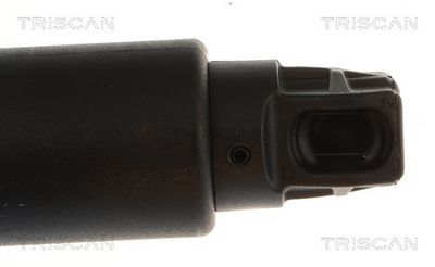 Plynárenská vzpera (pneumatická pružina), zavazadlový priestor TRISCAN 8710 28305