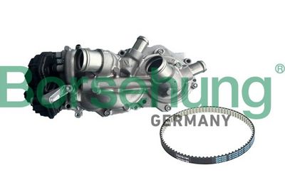 POMPă DE APă RăCIRE MOTOR Borsehung B13306
