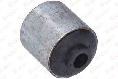 SUPORT TRAPEZ BIRTH 2109 6