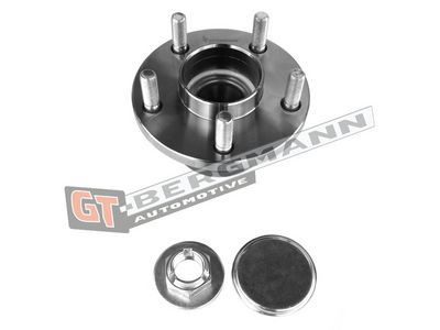 GT-BERGMANN Automotive Rato guolio komplektas