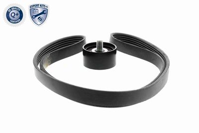 SET CUREA TRANSMISIE CU CANELURI ACKOJA A520515 7