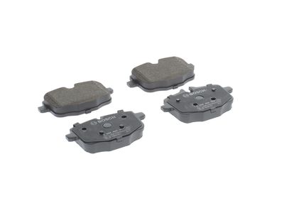 SET PLACUTE FRANA FRANA DISC BOSCH 0986494900 27